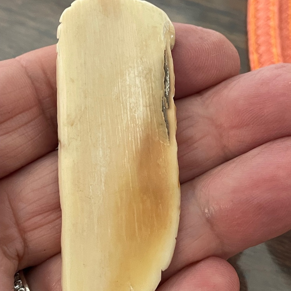 Incredible Intricately Carved momouth bone - Picture 2 of 2